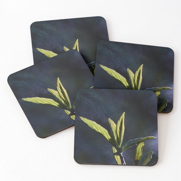 Item preview, Sunlight and Green Leaves designed and sold by couragesings.