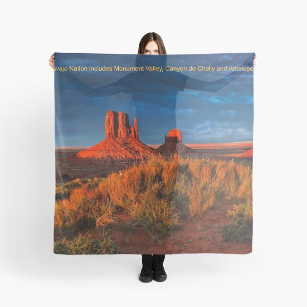 Item preview, Navajo Nation Art designed and sold by Alicefish.