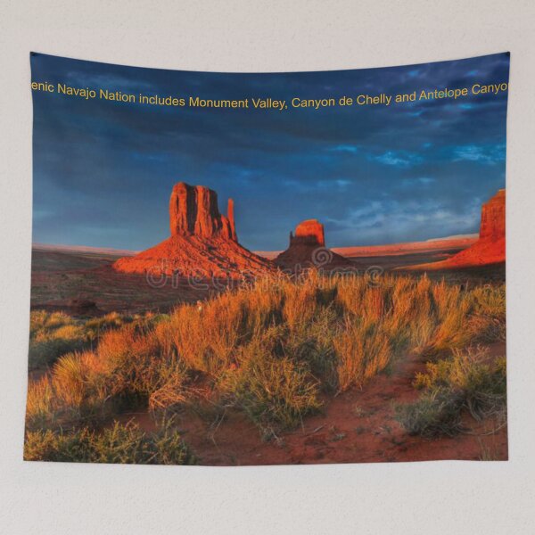 Item preview, Navajo Nation Art designed and sold by Alicefish.