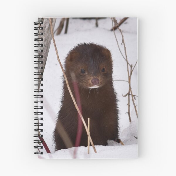 Item preview, Little Mink designed and sold by RonHebert.