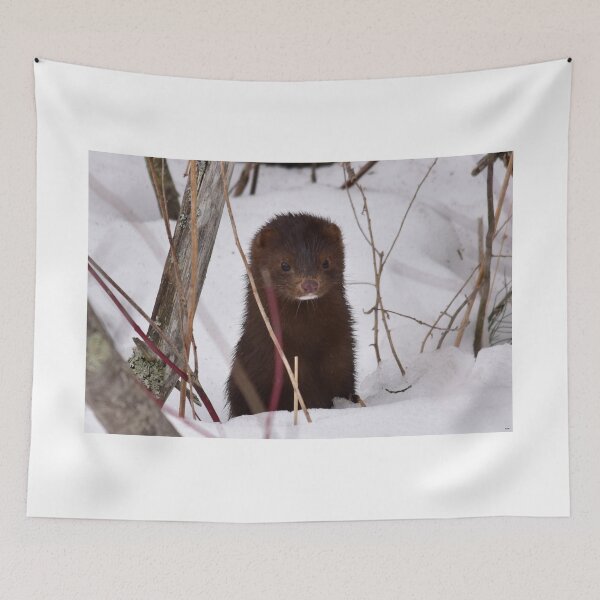 Item preview, Little Mink designed and sold by RonHebert.