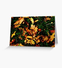 Autunm Leaves Greeting Card