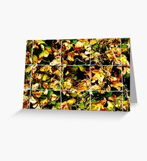 Autunm Leaves Greeting Card