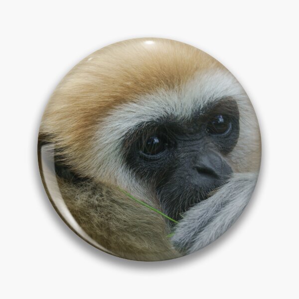 Item preview, Lar Gibbon designed and sold by rawshutterbug.