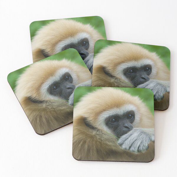 Item preview, Lar Gibbon designed and sold by rawshutterbug.