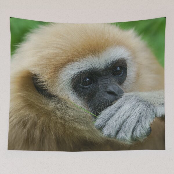 Item preview, Lar Gibbon designed and sold by rawshutterbug.
