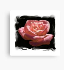 Pearl Canvas Print