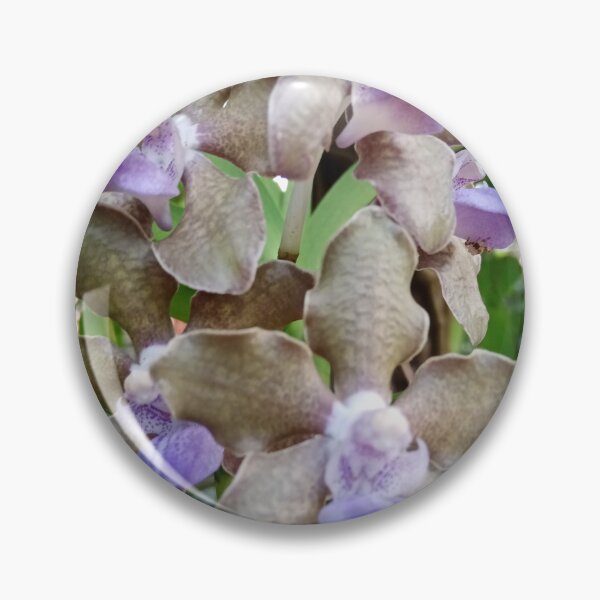 Item preview, Beautiful Floral Photography Designs - Orchids designed and sold by DHAMMISTYLES.