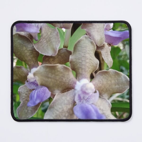 Item preview, Beautiful Floral Photography Designs - Orchids designed and sold by DHAMMISTYLES.
