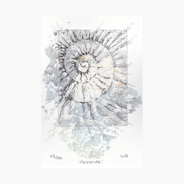 Ammonite no.63 - 100 ammonites project Photographic Print