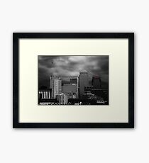 Isle of Dogs Framed Print