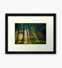 Sunrise Landscape Framed Print