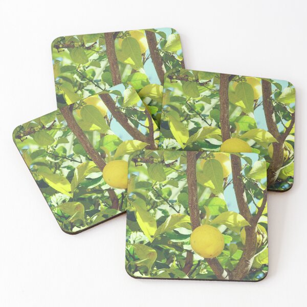 Item preview, Limoncello Lemons Tree in Capri Island, Italy designed and sold by CarolinaReina.