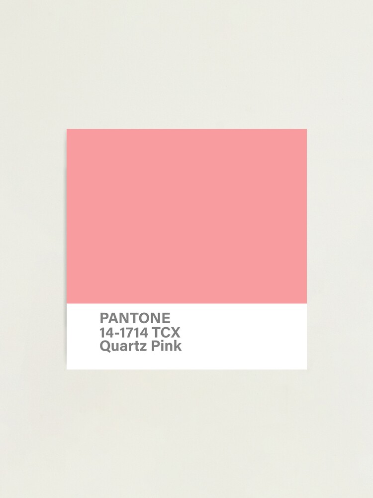 pantone 14-1714 TCX Quartz Pink | Photographic Print