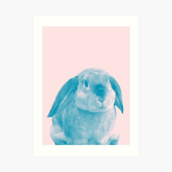 Rabbit 04 Kunstdruck