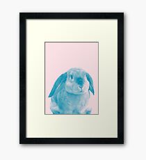 Rabbit 04 Gerahmtes Wandbild