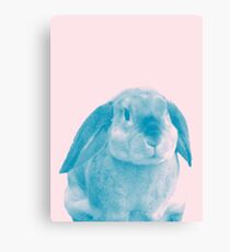 Rabbit 04 Leinwanddruck
