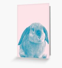 Rabbit 04 Grußkarte