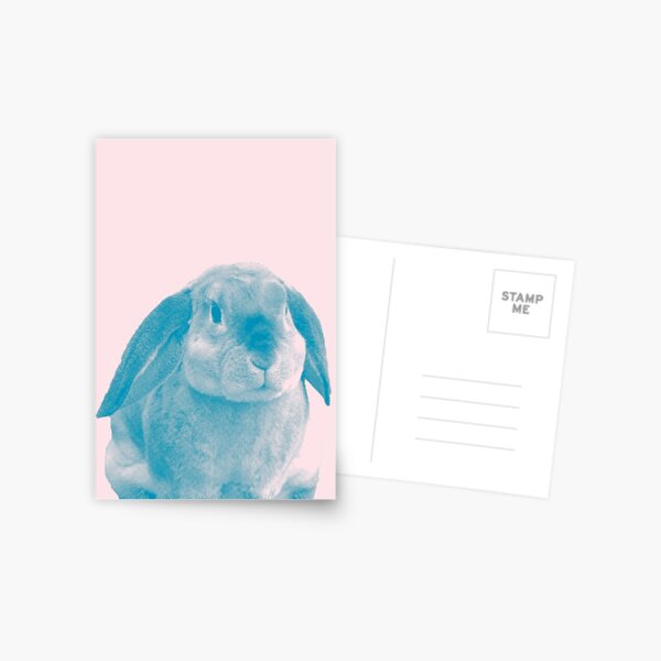 Rabbit 04 Postkarte