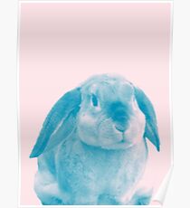 Rabbit 04 Poster