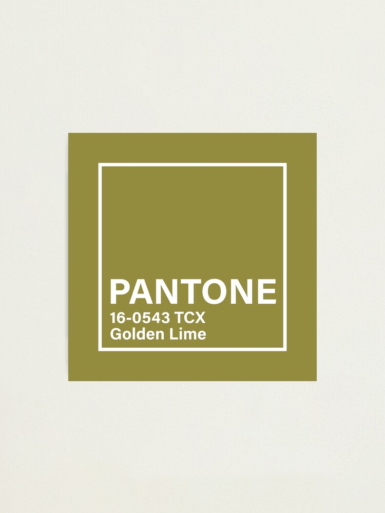 Pantone Tcx Golden Lime Photographic Print For Sale By