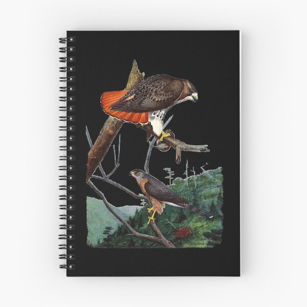 Item preview, Red Tailed Hawk Red-Tailed Hawk Birder Gift designed and sold by CleopatraPark.