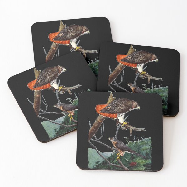 Item preview, Red Tailed Hawk Red-Tailed Hawk Birder Gift designed and sold by CleopatraPark.
