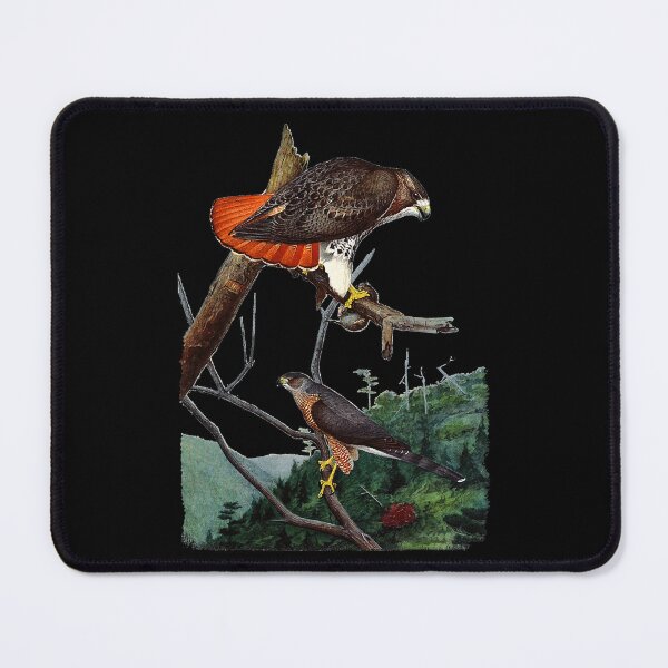 Item preview, Red Tailed Hawk Red-Tailed Hawk Birder Gift designed and sold by CleopatraPark.