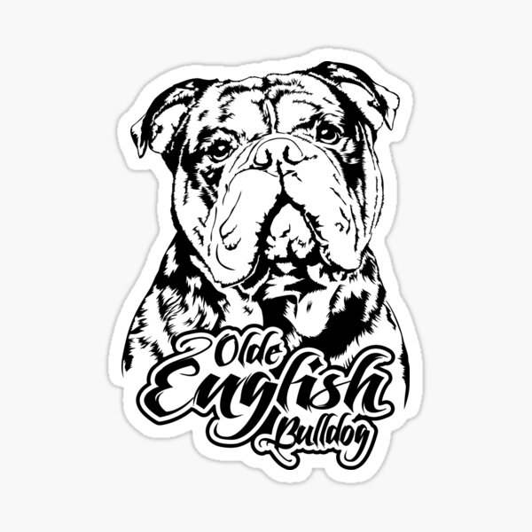 Old english discount bulldog accessories