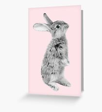 Rabbit 08 Grußkarte
