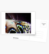 Untitled Postcards