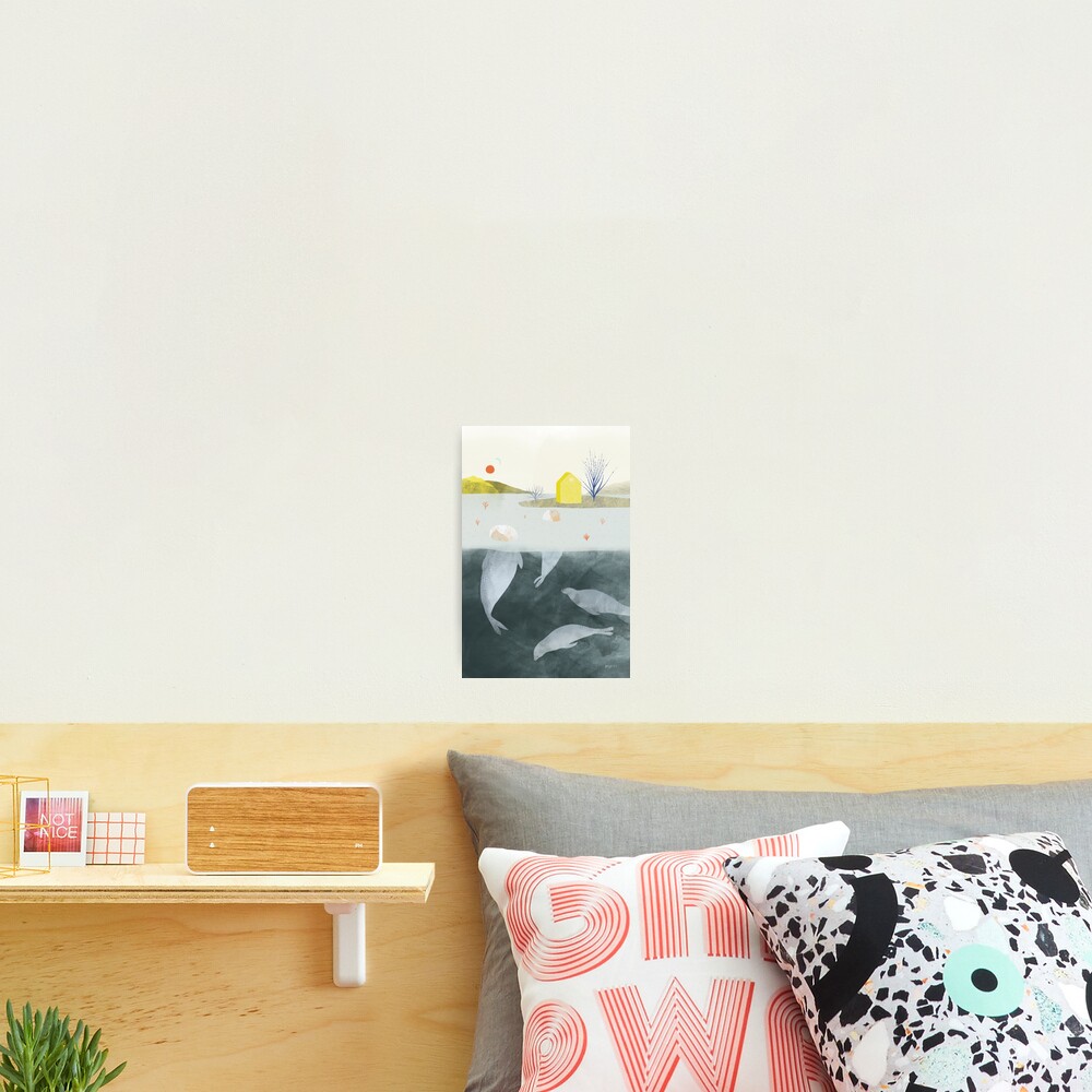 Selkie Photographic Print