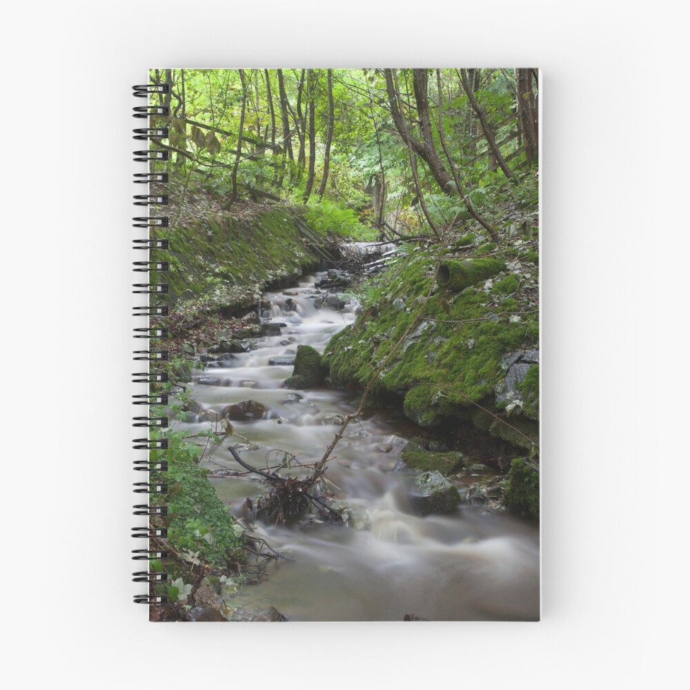 Item preview, Spiral Notebook designed and sold by codaimages.