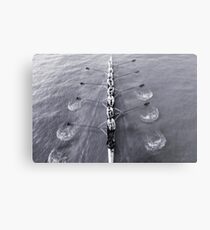 Rowing Metallbild