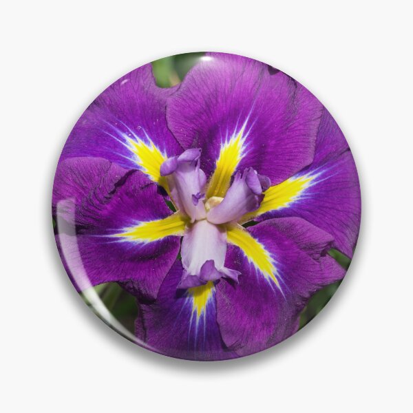 Item preview, Flamboyant Garden Gem - Jewel Toned Japanese Iris in Bloom designed and sold by Georgia Mizuleva.