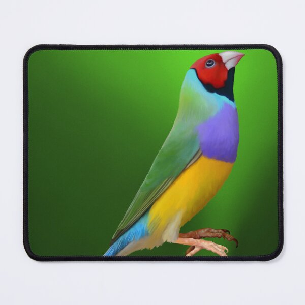 Item preview, The beautiful Gouldian Finch or Rainbow Finch. Australian bird, bird lovers gift designed and sold by PlumpPlumStudio.