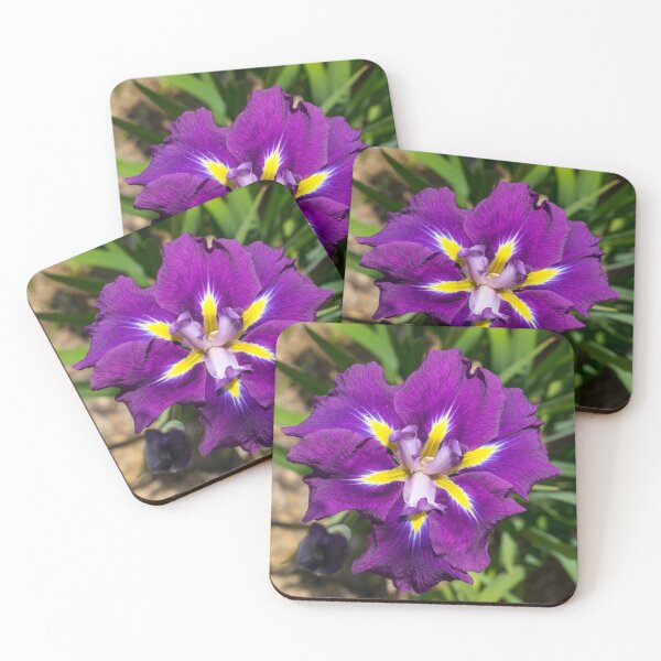 Item preview, Flamboyant Garden Gem - Jewel Toned Japanese Iris in Bloom designed and sold by Georgia Mizuleva.