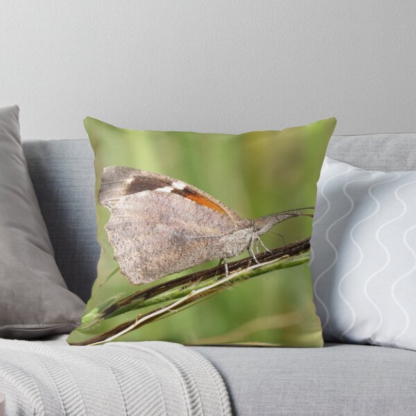 Item preview, American Snout Butterfly designed and sold by Luck of the Shutter.