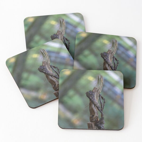 Item preview, broken tree designed and sold by OskiOnTour.