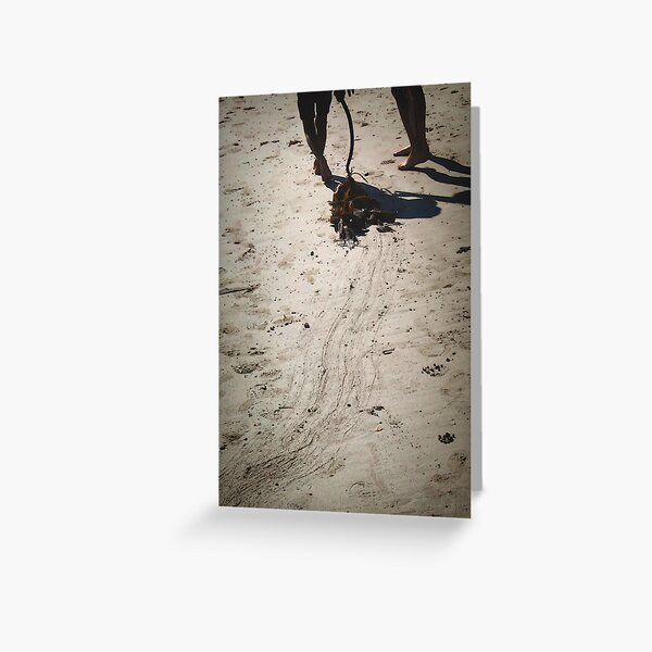 Untitled Greeting Card