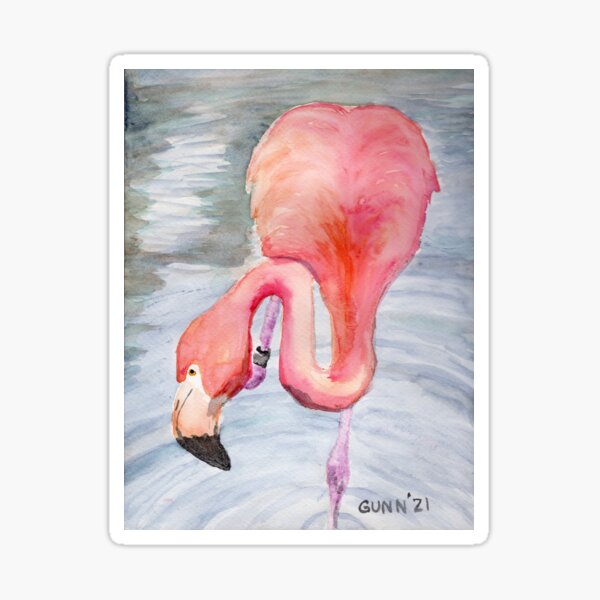 Curious Flamingo Sticker