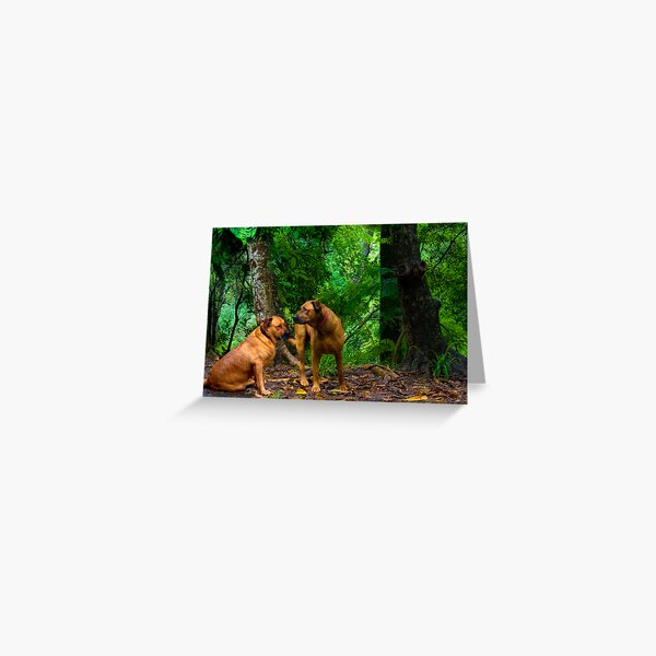 Forest Guardians Greeting Card