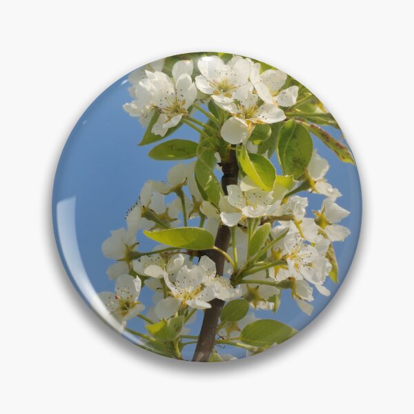Item preview, Apple blossom in spring designed and sold by mhfoto.