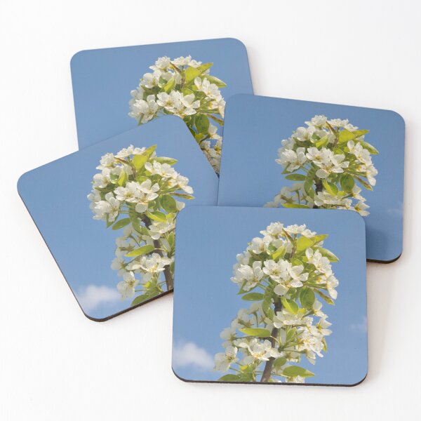Item preview, Apple blossom in spring designed and sold by mhfoto.