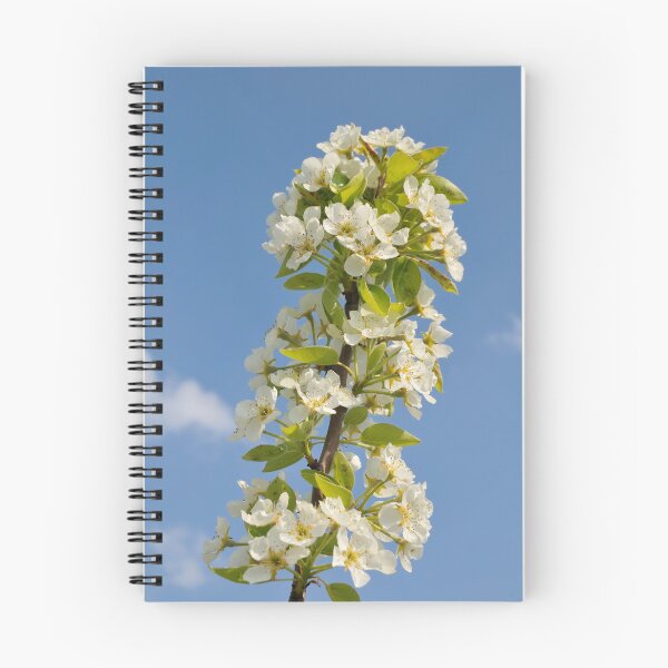 Item preview, Apple blossom in spring designed and sold by mhfoto.