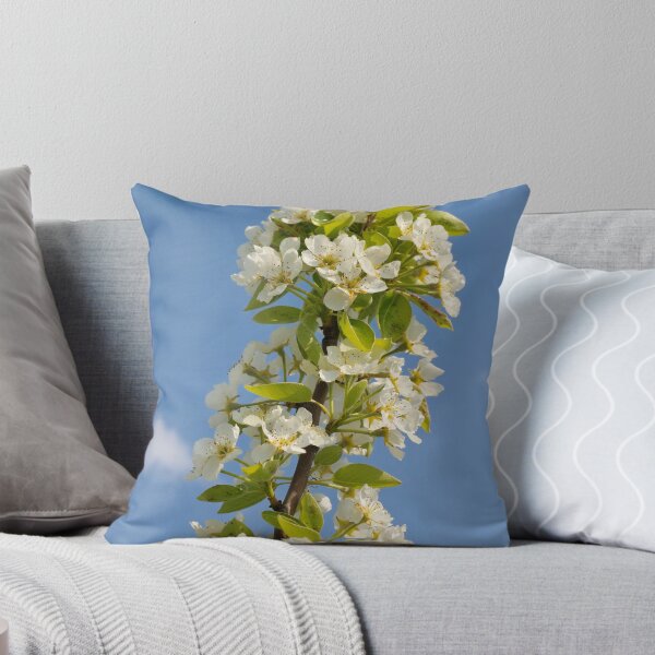 Item preview, Apple blossom in spring designed and sold by mhfoto.