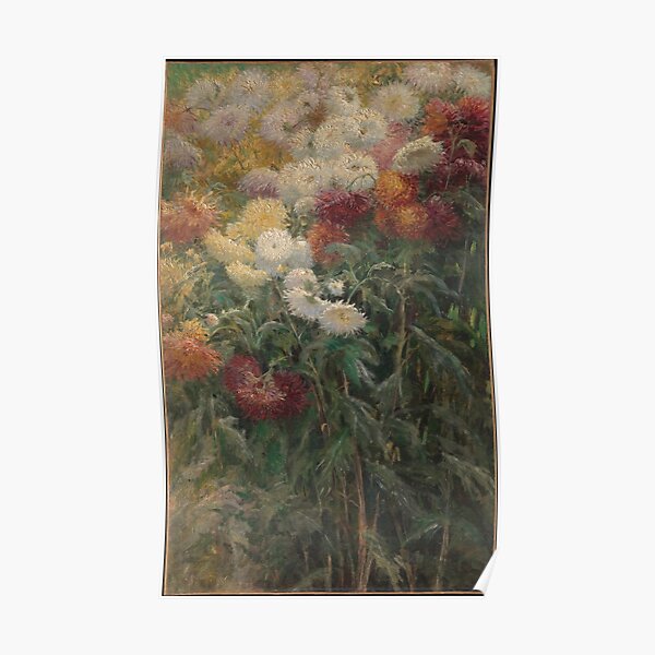 "Gustave Caillebotte Chrysanthemums In The Garden At Petit