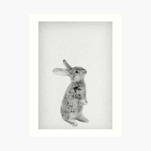 Rabbit 11 Kunstdruck