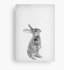 Rabbit 11 Metalldruck