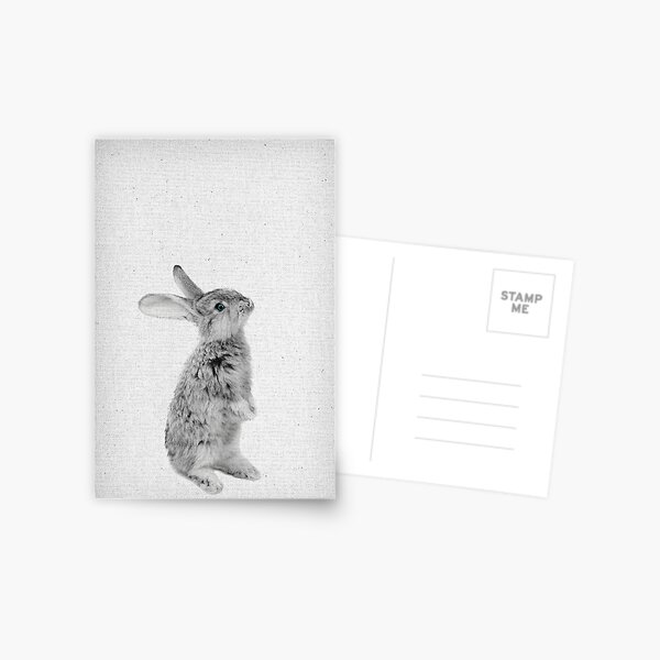 Rabbit 11 Postkarte